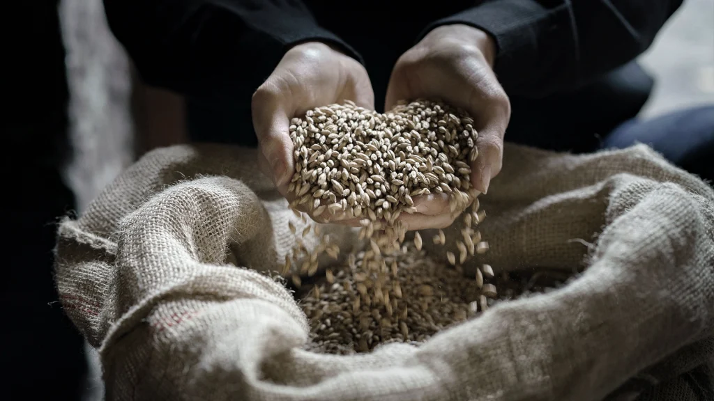 El proceso de producción del whisky de una sola malta.