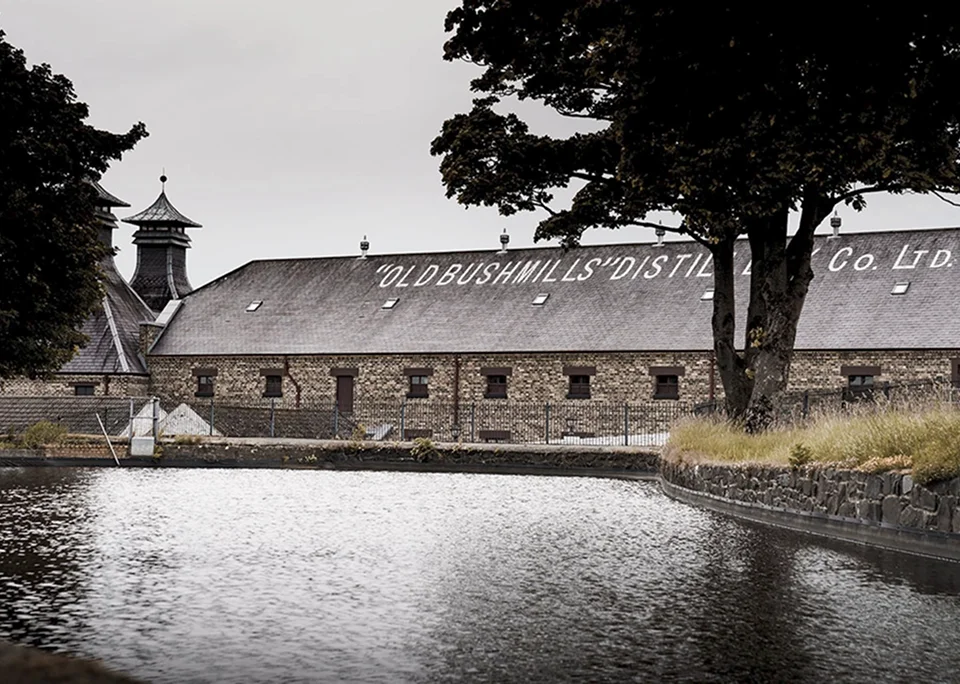 El origen del whiskey Bushmills