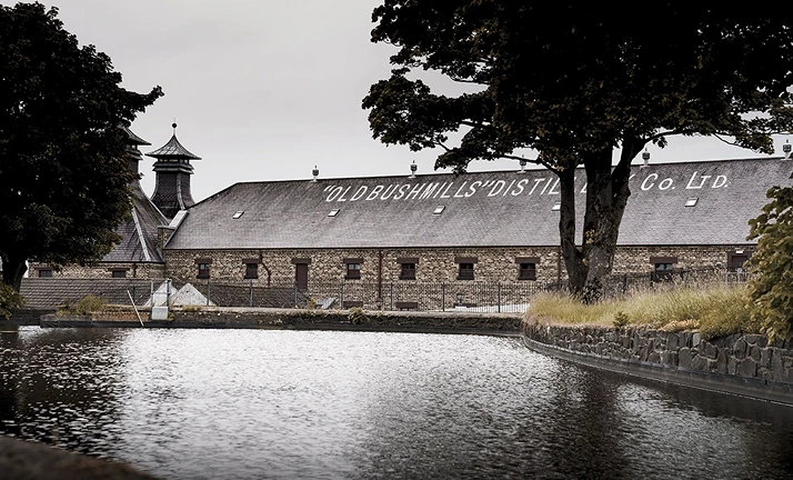 El-origen-del-whiskey-comienza-en-Bushmills 2