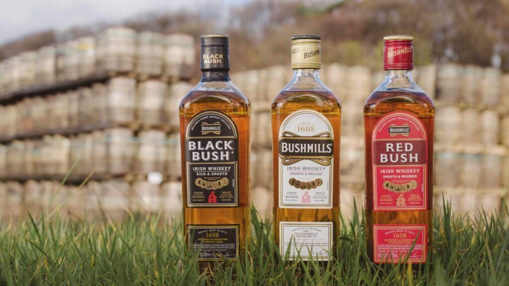 Tipos de Whisky Bushmills Mexico