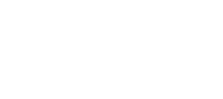 palacio del hierro logo