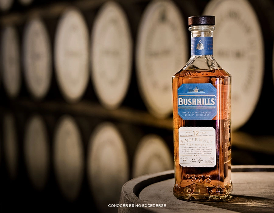 QUÉ SIGNIFICA SER EL WHISKY IRLANDÉS PREMIADO